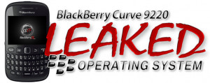 system with video and pictures how to recover a nuked blackberry