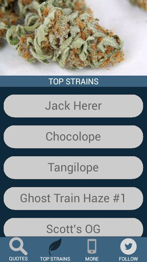 Weed Quotes app brings you some of the most inspirational marijuana ...