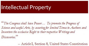INTELLECTUAL PROPERTY PROTECTION QUOTES