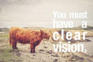 Business Vision Quotes You must have a clear vision