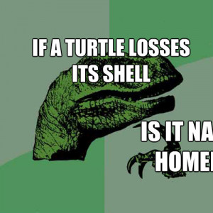 Philosoraptor If A Turtle Loses Its Shell