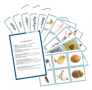 Preschool Sequencing Cards