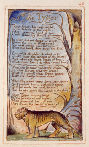 The Tyger, William Blake (from Songs of Experience), 1794