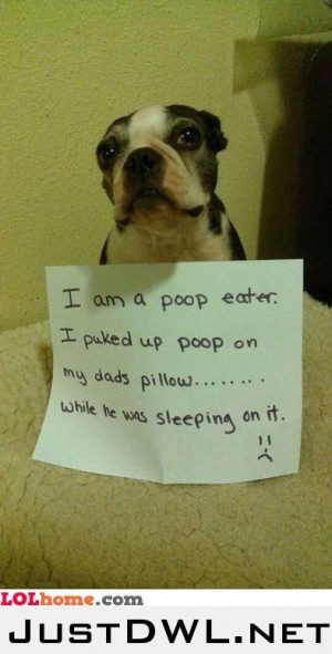 Found on justdwl.net