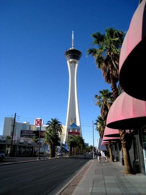Stratosphere Tower Image
