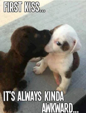 First kiss – cute puppy meme