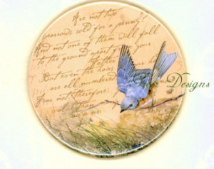 Bluebird Inspirational Bible Scripture Eye on Sparrow Matt 10 of Hope ...