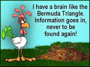 brain like the bermuda triangle