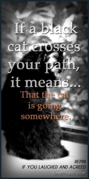 ... pinterest quotes black cat halloween hallween quote halloween quotes