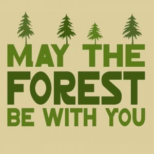 My the forest be with you. Funny quote.