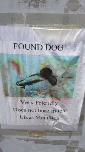 funny lost dog sign - very friendly does not bark much likes metallica ...