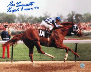 8x10 Photo of Secretariat, the 1973 Triple Crown Winning Horse ...