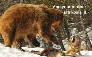 Your Fighting Paradigm: Lone Wolf or Wolf Pack