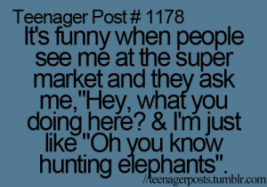 elephant, funny, quote, teenager post, teenager posts, text