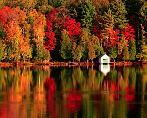 New England in the Fall
