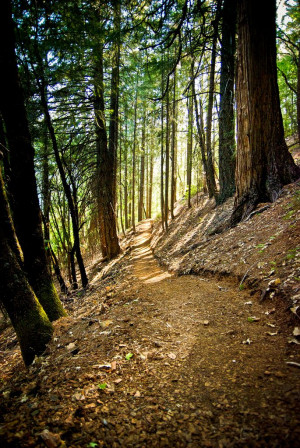 ... Trail, Paths, Nature, Pacific Crest Trail, Places, Running Quotes
