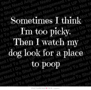 Sometimes I think i'm too picky. Then I watch my dog look for a place ...