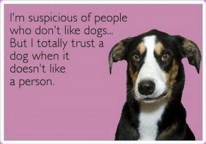 totally true statement