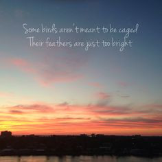 forrest gump quote more forrest gump quotes canvases able quotes ...