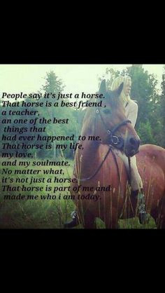 to ride a horse is my life hors stuff life equestrian quotes horses ...