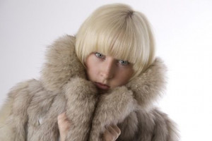 Recycle Old Furs Into Bedding for Injured Animals