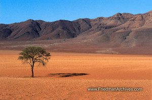 Namibia Images /Namibiya Desert Landscape