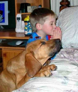 Puppies pray too! This picture makes me think of our dog, Sadie who ...