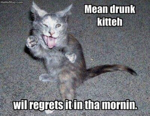 Mean Drunk Kitteh