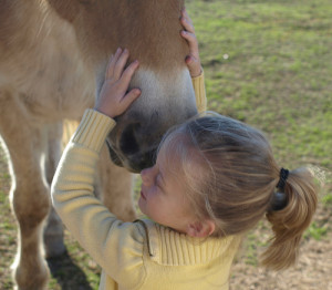 All horses deserve, at least once in their lives, to be loved by ...