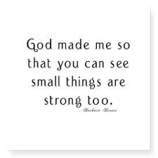 Preemie Sayings Bumper Stickers