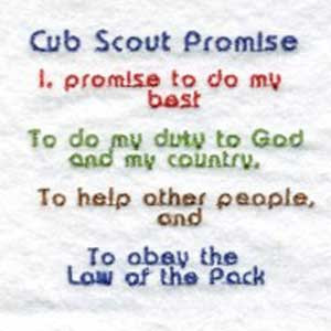 Cub Scout Promise