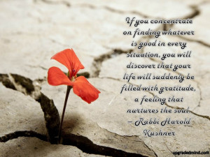 ... gratitude, a feeling that nurtures the soul. - Rabbi Harold Kushner