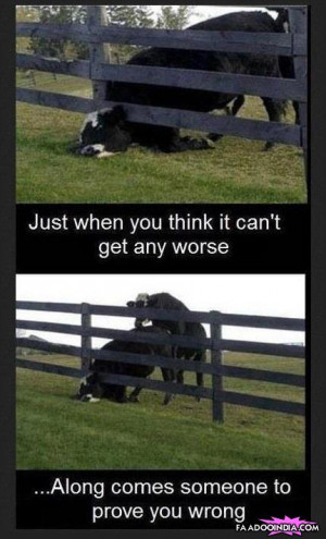 ... you think it can’t get any worse along comes someone to prove you