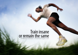 Train Insane or Remain the Same Quote