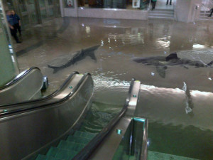 roundup of Union Station flood funnies