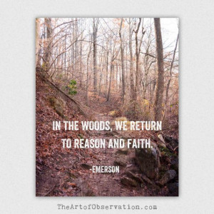 Inspirational Quote Nature Photography by theartofobservation, $22.00