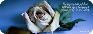 The Rose Facebook Cover