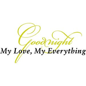 Wall Quote Goodnight My Love, My Everything Vinyl Wall Quote