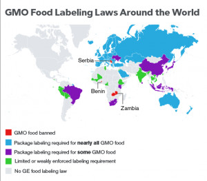 gmo labeling diy