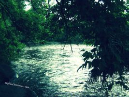 Summer Rivers by TiiaBear