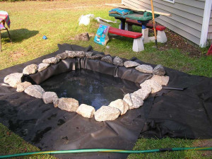 Outdoor Turtle Pond Version