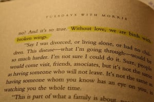 ... we are birds with broken wings. - Tuesdays with Morrie by Mitch Albom