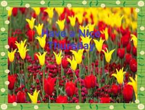 url=http://www.imagesbuddy.com/have-a-nice-thursday-colorful-flowers ...