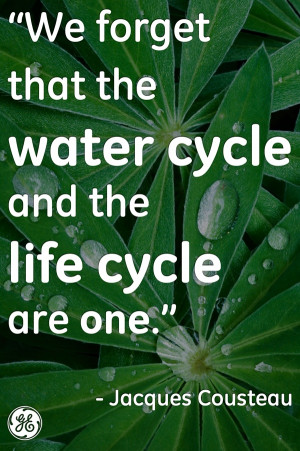 Forget That The Water Cycle And The Life Cycle Are One Water Quote