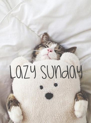 Lazy-Sunday-cat-ft.jpg