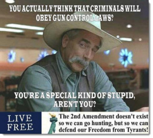 gun-rights-criminals-gun-laws-special-kind-of-stupid