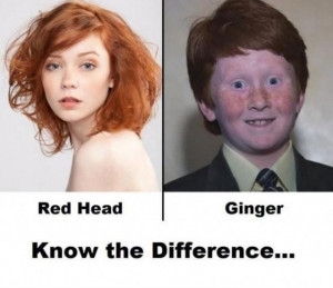 Redhead Vs Ginger