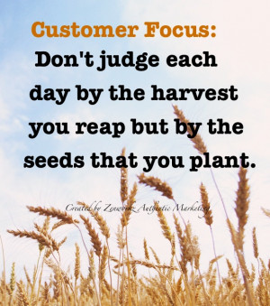 Customer Focus: Don’t judge each day by the harvest you reap but by ...