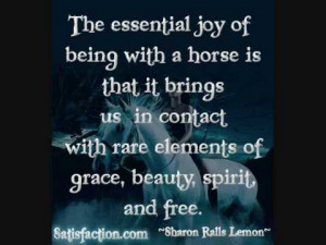 Related Pictures horse quotes a horse is the projection of peoples ...