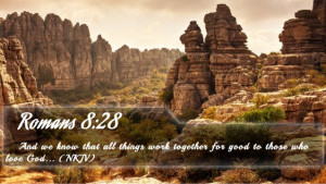 Romans 8:28 - Bible Verse of the Day